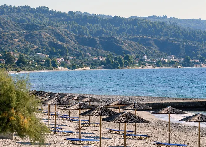 Mendi Hotel 4*