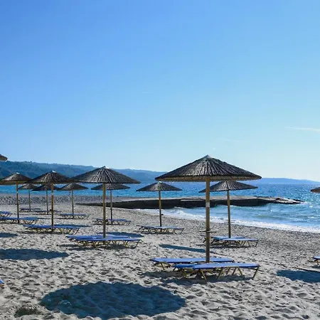 Mendi Hotel 4*